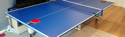 ping pong dining table